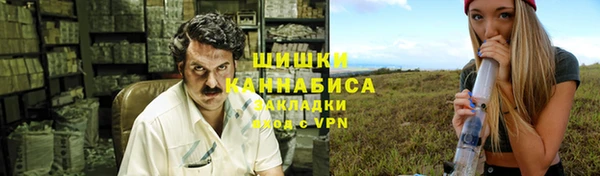 ПСИЛОЦИБИНОВЫЕ ГРИБЫ Няндома