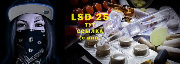 ПСИЛОЦИБИНОВЫЕ ГРИБЫ Няндома