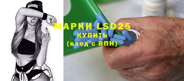 ПСИЛОЦИБИНОВЫЕ ГРИБЫ Няндома