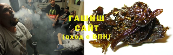 ПСИЛОЦИБИНОВЫЕ ГРИБЫ Няндома