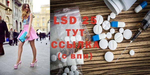 ПСИЛОЦИБИНОВЫЕ ГРИБЫ Няндома