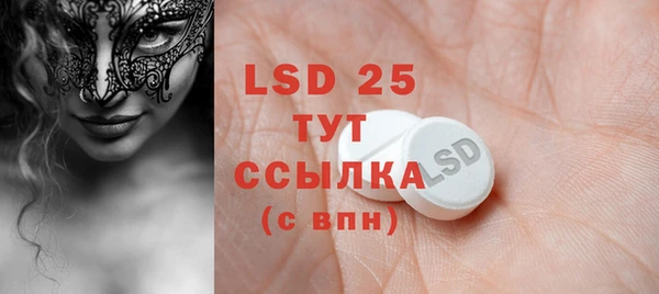 ПСИЛОЦИБИНОВЫЕ ГРИБЫ Няндома