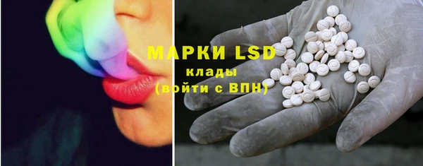ПСИЛОЦИБИНОВЫЕ ГРИБЫ Няндома
