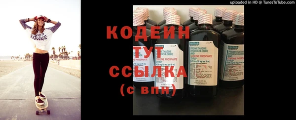 ПСИЛОЦИБИНОВЫЕ ГРИБЫ Няндома