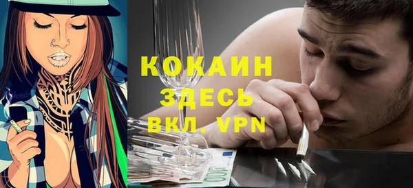 ПСИЛОЦИБИНОВЫЕ ГРИБЫ Няндома