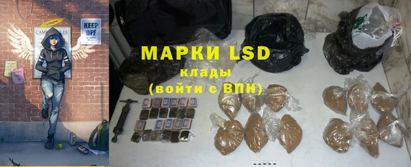 гидра Новозыбков