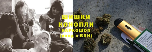 ПСИЛОЦИБИНОВЫЕ ГРИБЫ Няндома