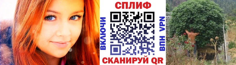 Бошки Шишки VHQ  Киренск 